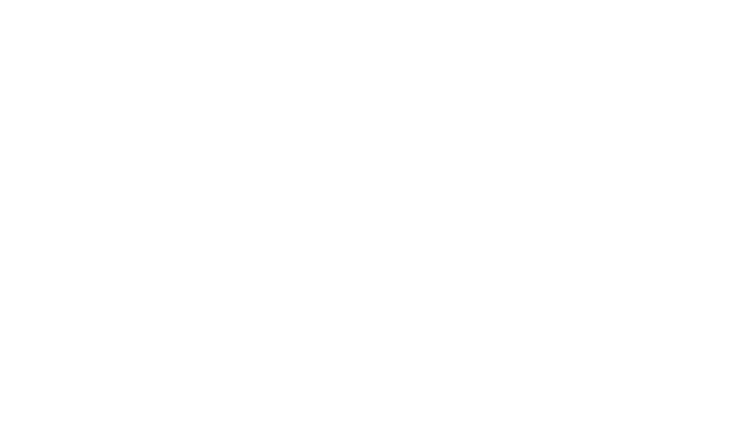 FMS Global Strategies