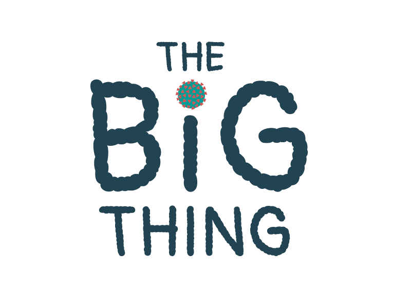 The Big Thing Book