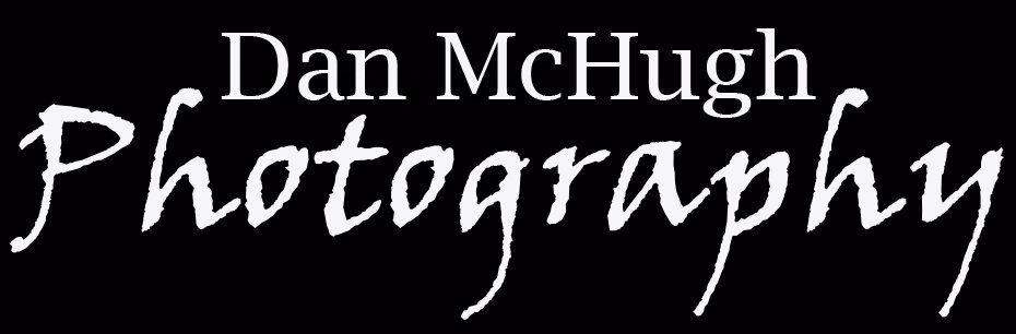 DAN MCHUGH PHOTOGRAPHY