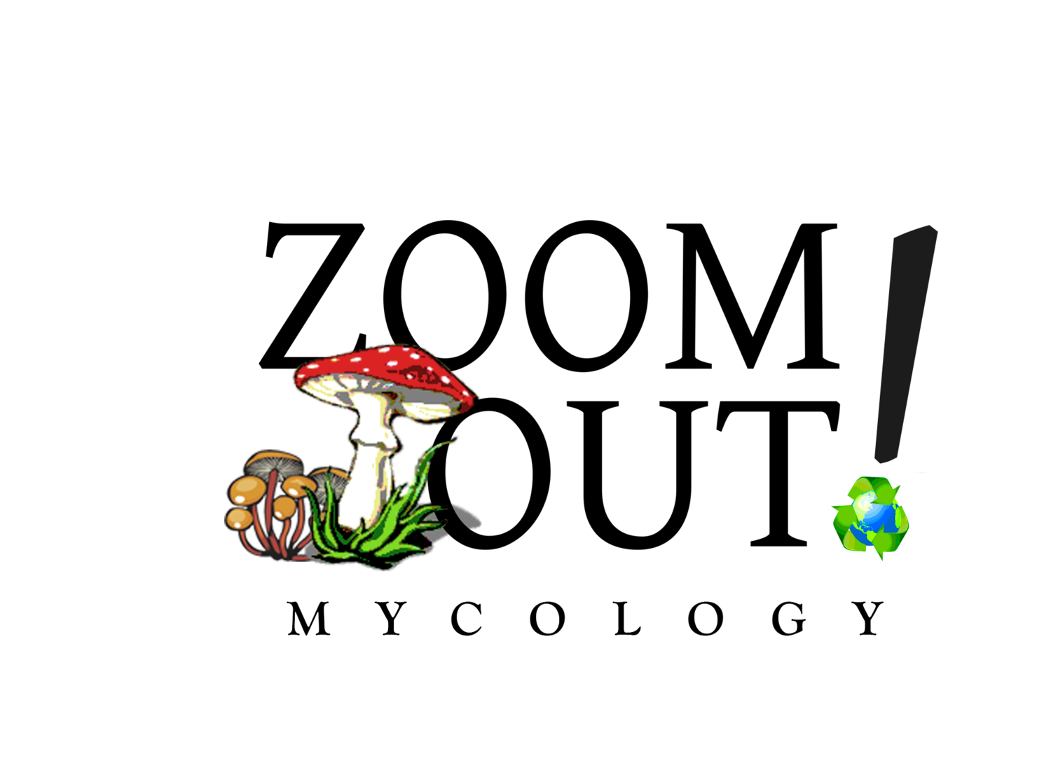 Zoom Out Mycology