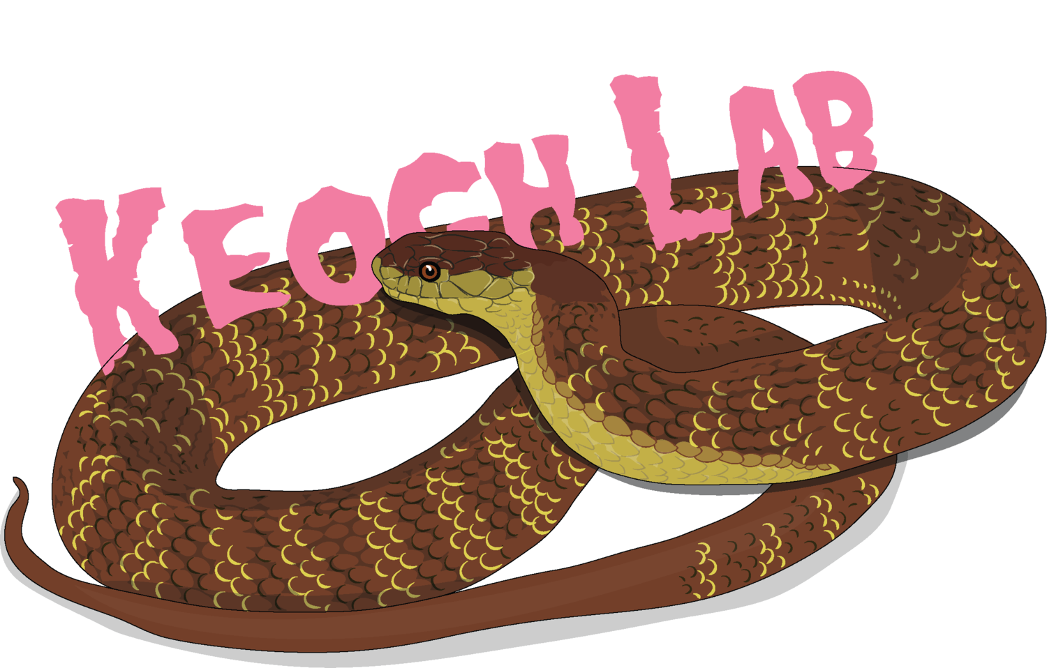 Keogh Lab