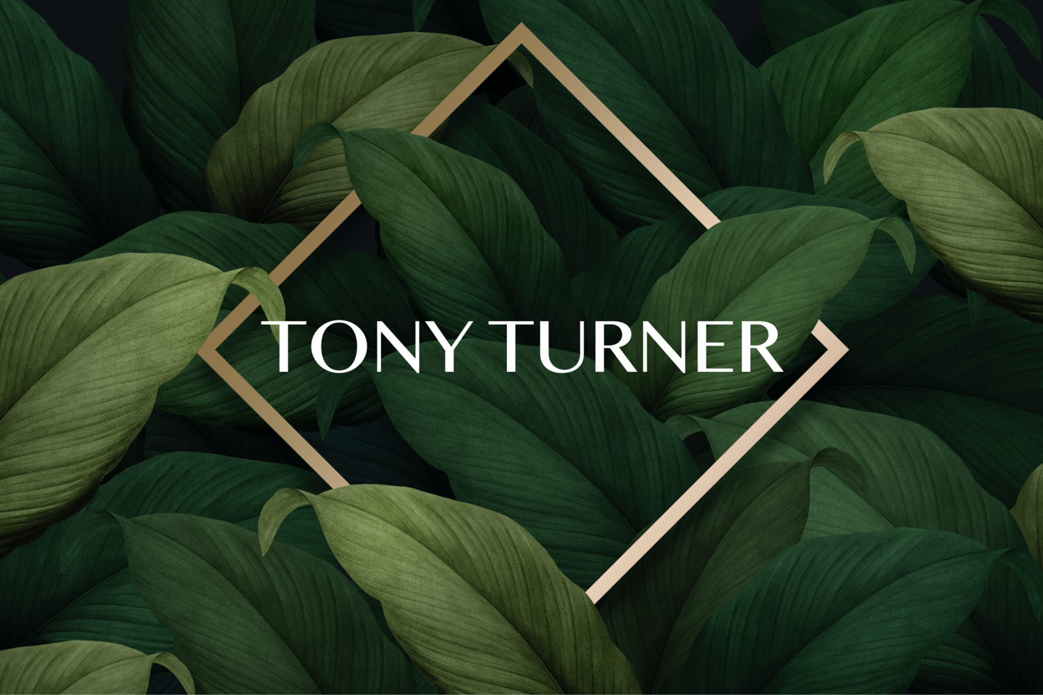 Tony Turner