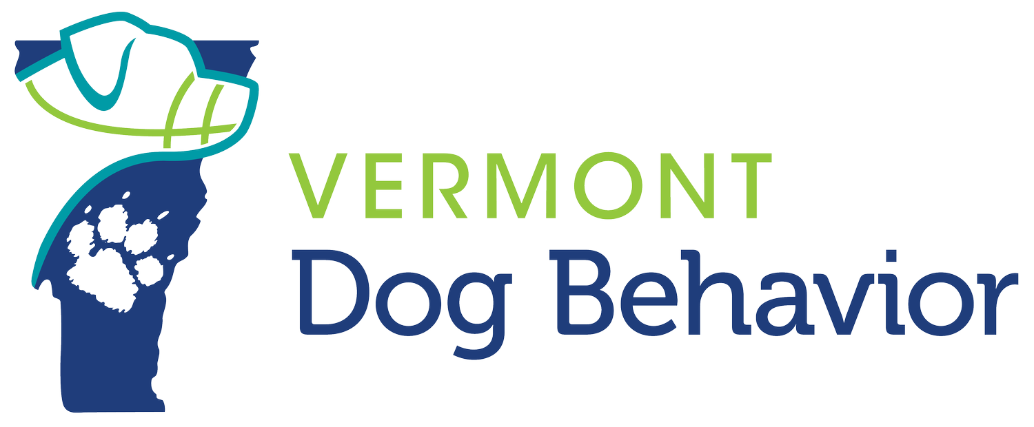 Vermont Dog Behavior