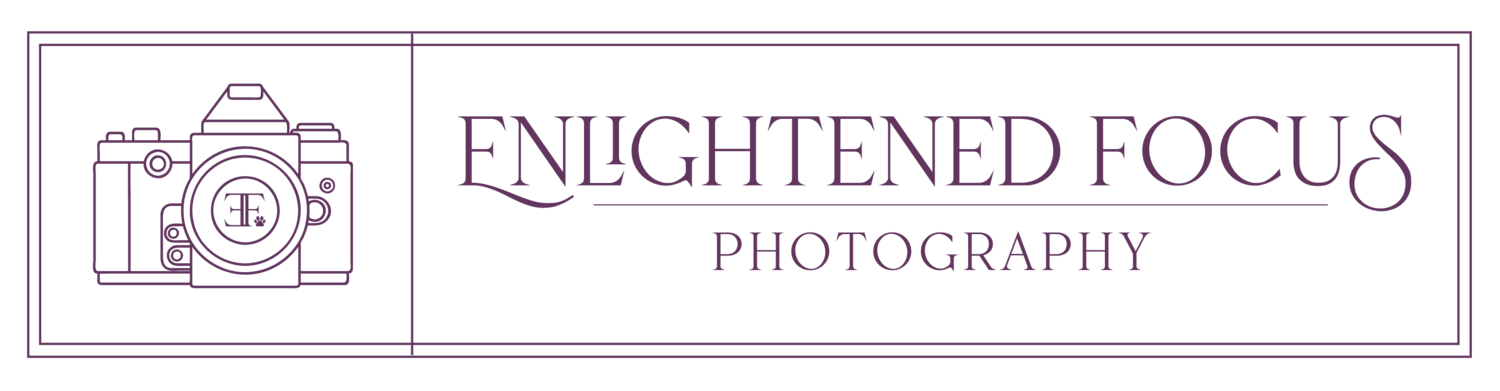 Enlightened Focus Photography