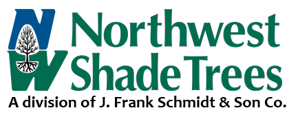 Northwest Shade Trees