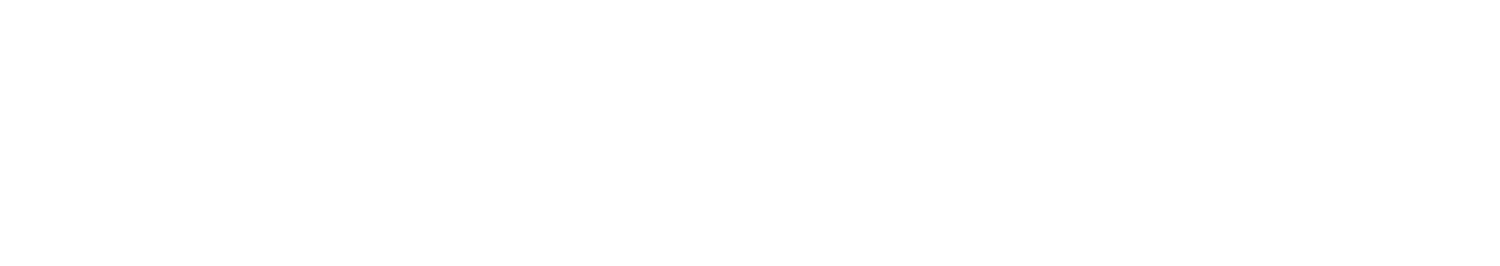 Video Ventures