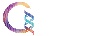Creation Collective