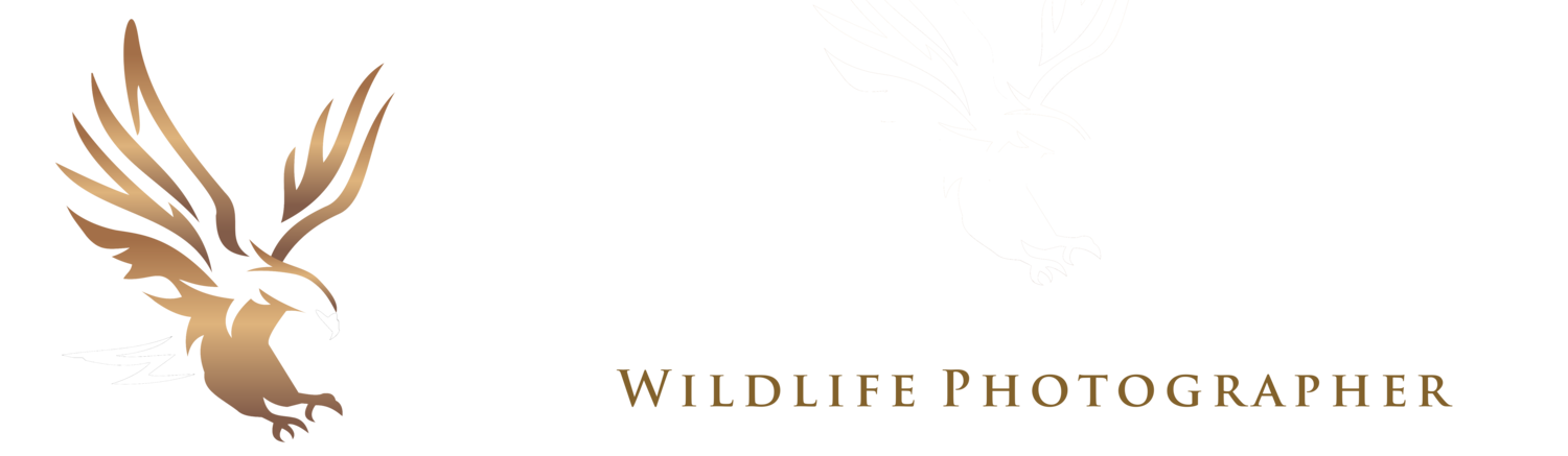 Brendon Cremer Photography