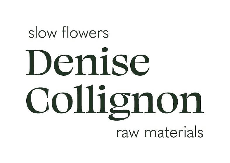 DENISE COLLIGNON     slow flowers | raw materials