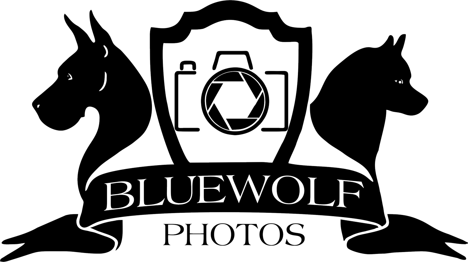 BlueWolf Photos