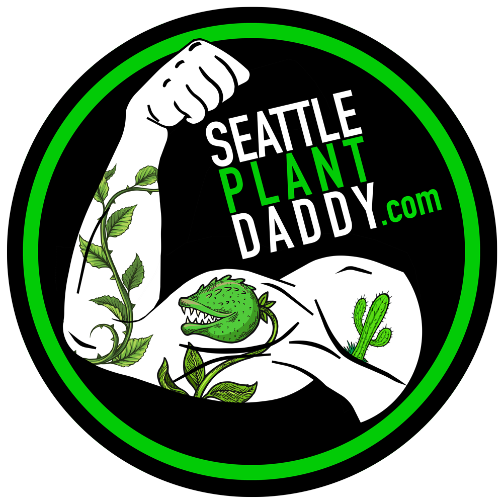 Seattle Plant Daddy