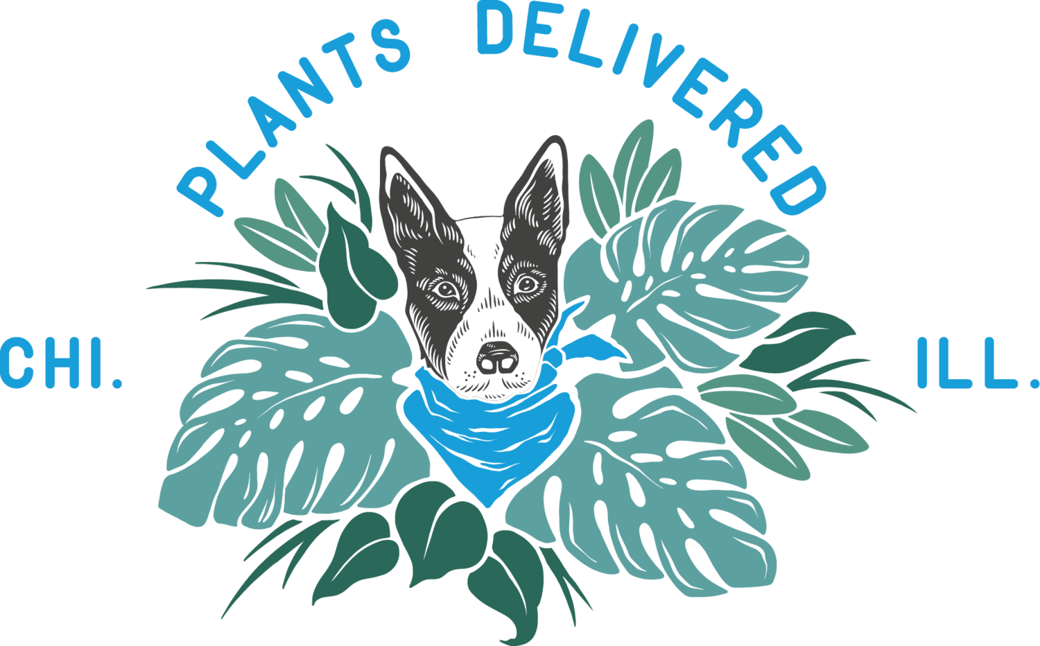 Plants Delivered Chicago