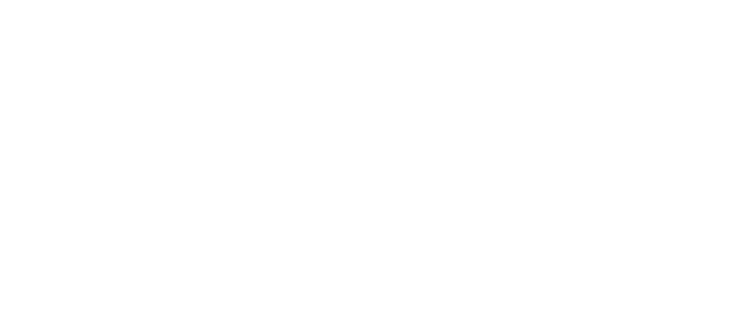 Actiexpert