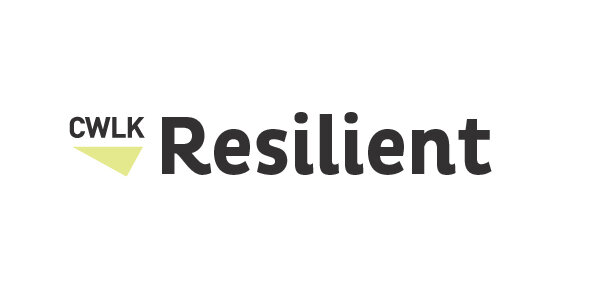 Resilient Recovery