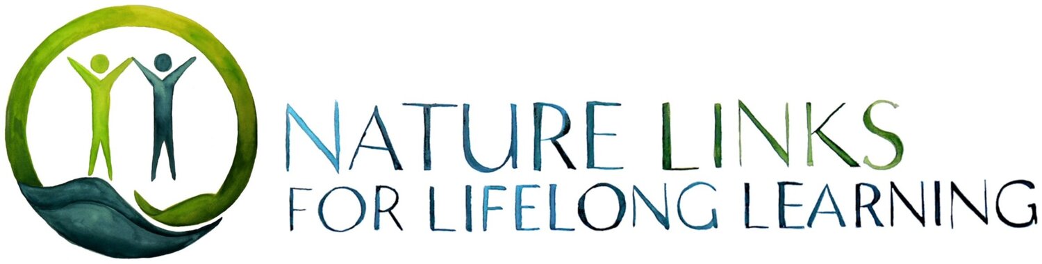 Nature Links for Lifelong Learning