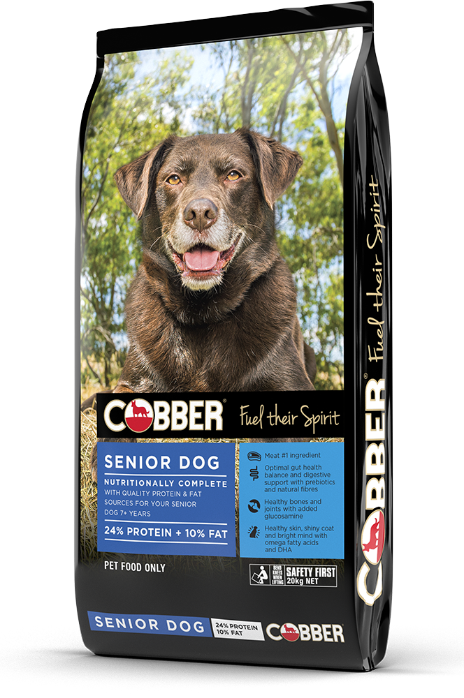 cobber complete puppy