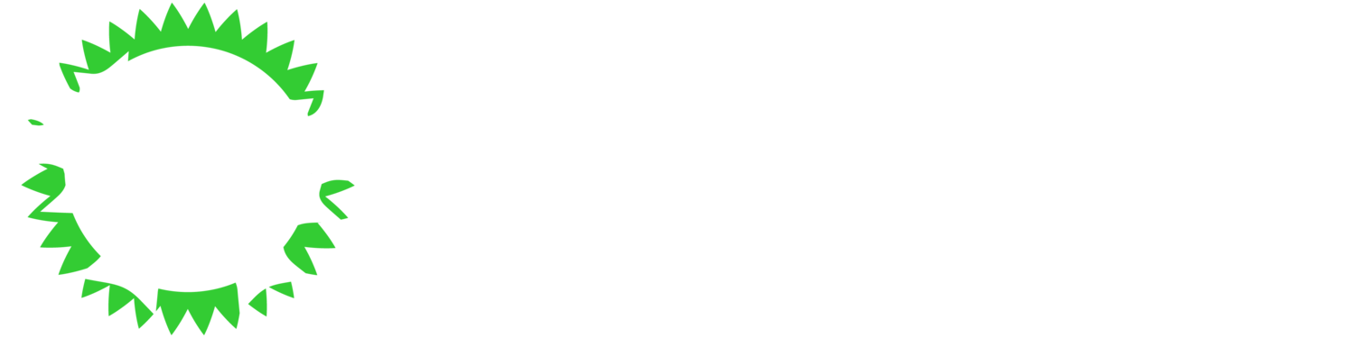 Scottish Young Greens