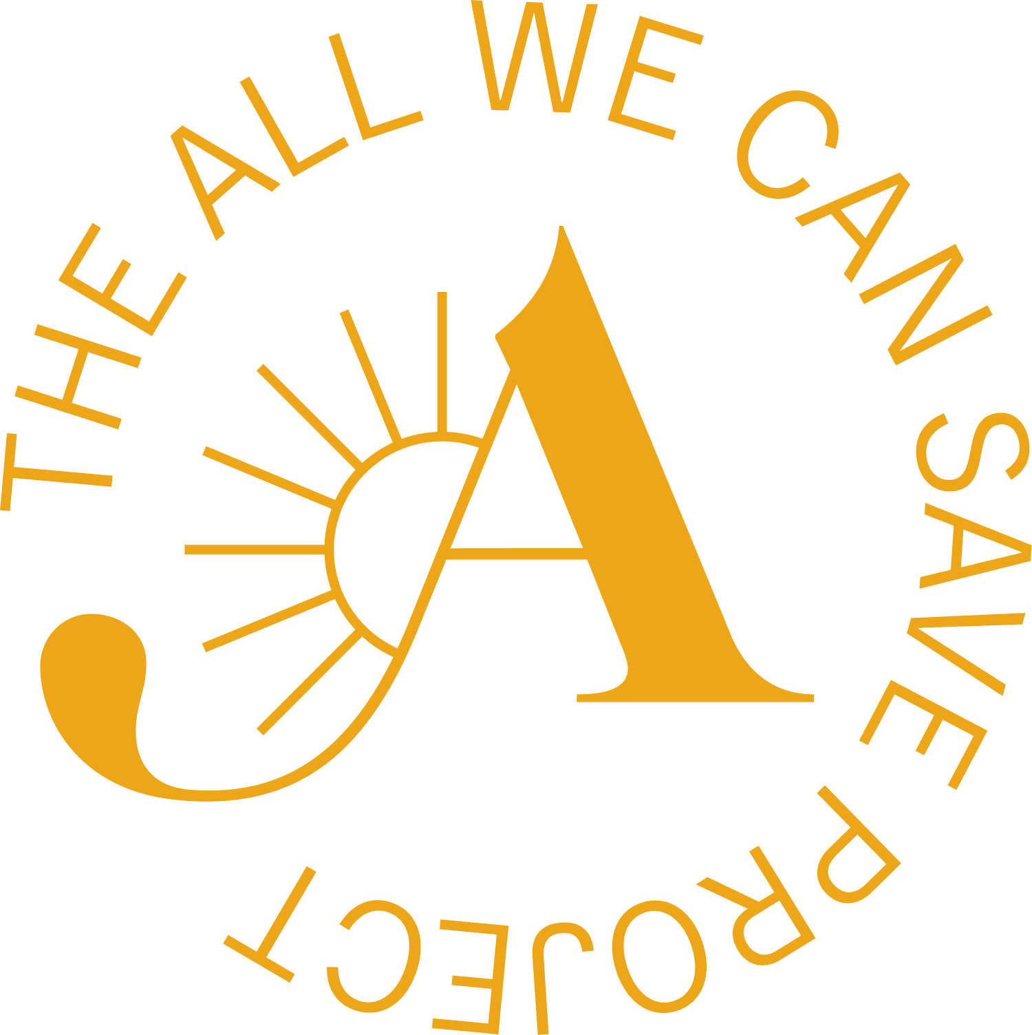 The All We Can Save Project