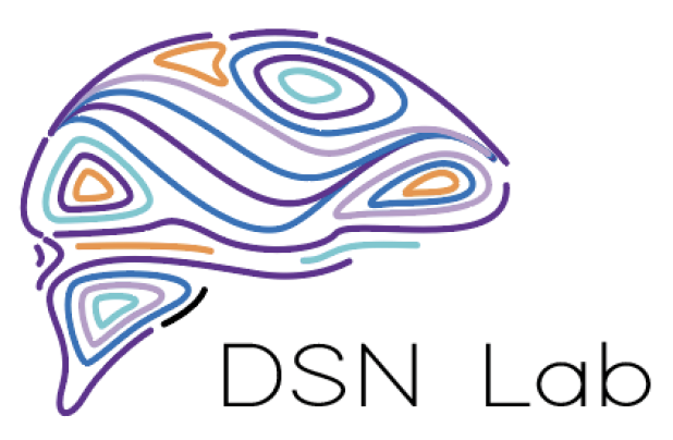 DSN Lab