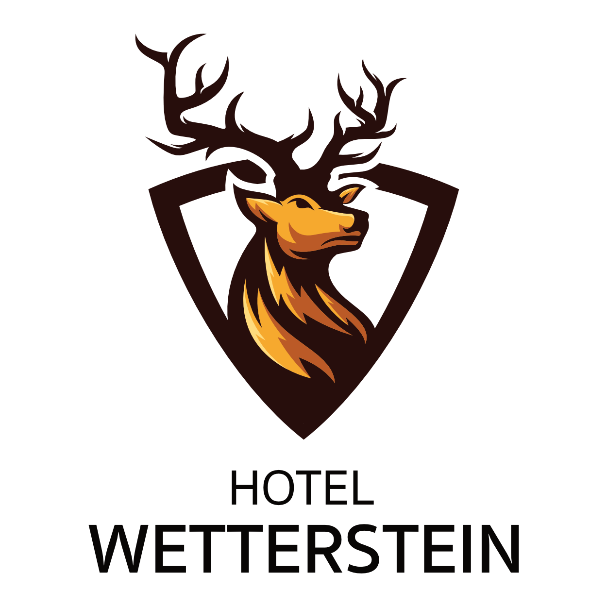 Hotel Wetterstein - Sports in Seefeld