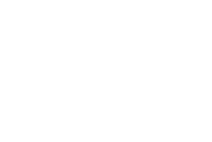 THE SKATEPARK PROJECT