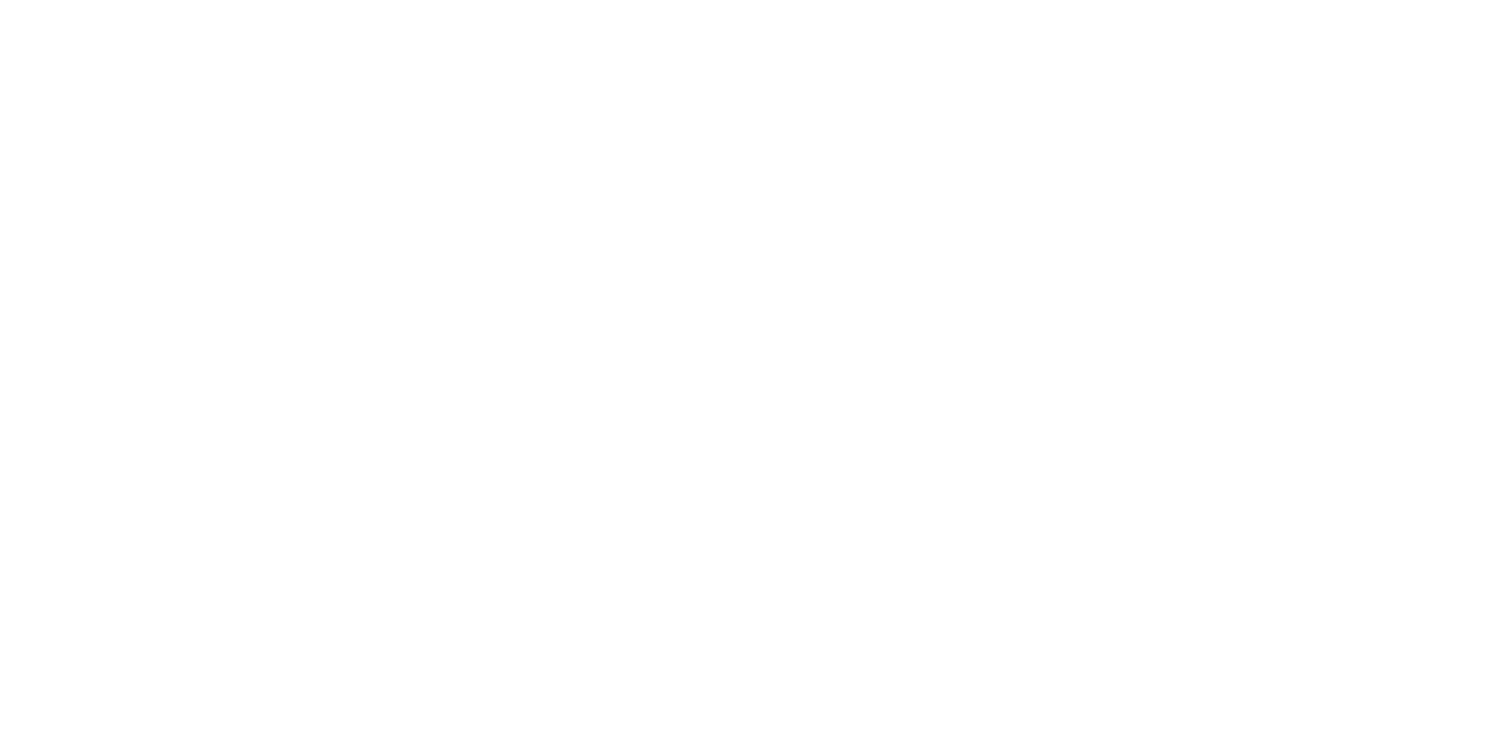 California Bully Rescue