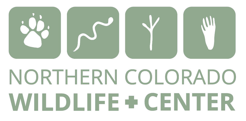 Northern Colorado Wildlife Center
