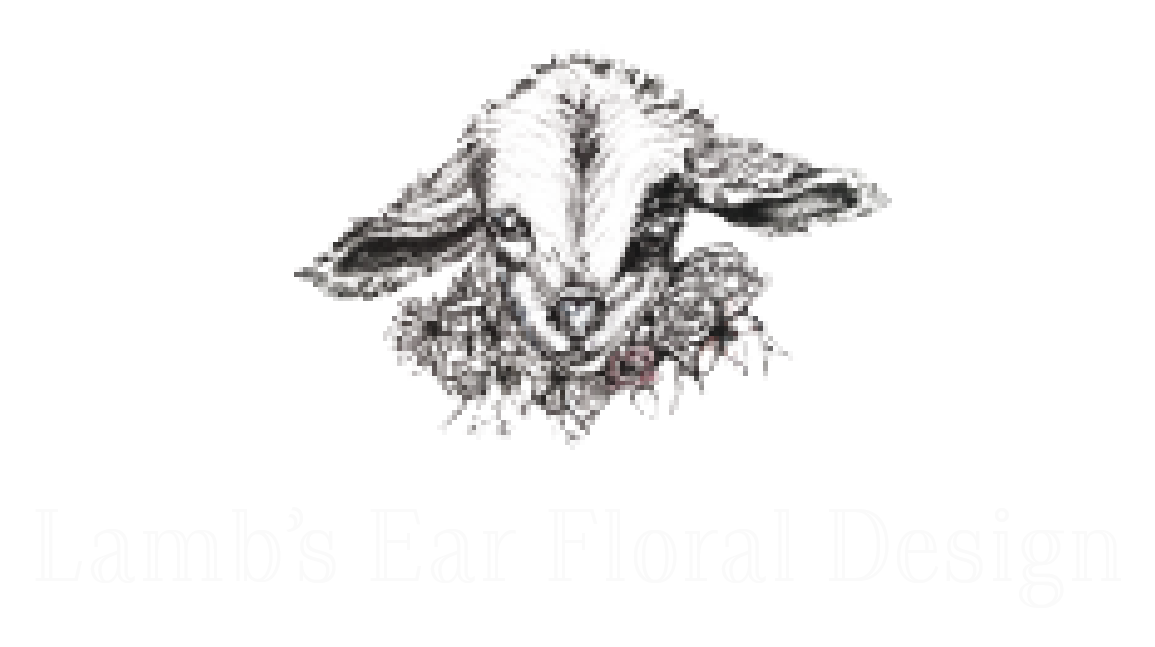 Lamb&#39;s Ear Floral Design
