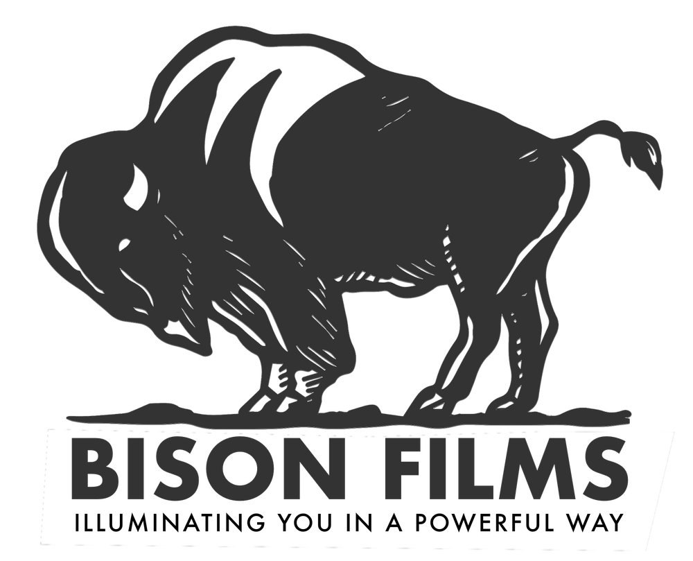 Bison Films