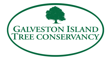 Galveston Island Tree Conservancy