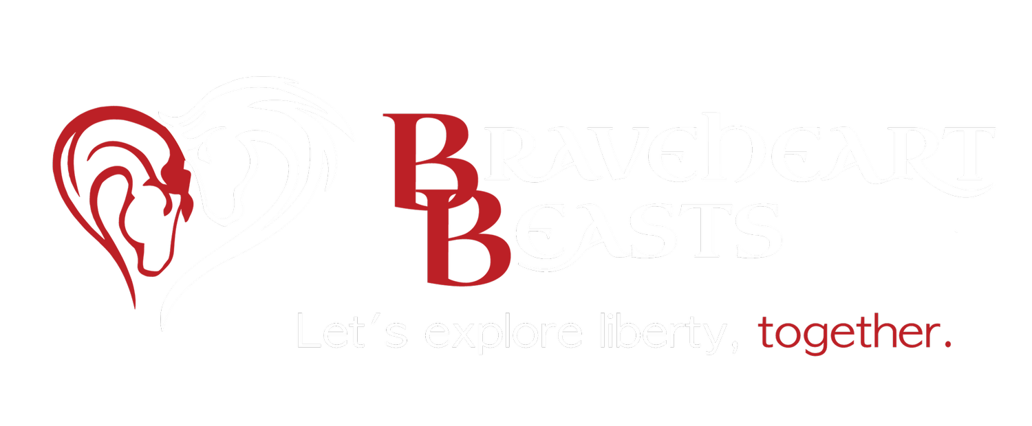 Braveheart Beasts - Liberty Work - Horse Trainer
