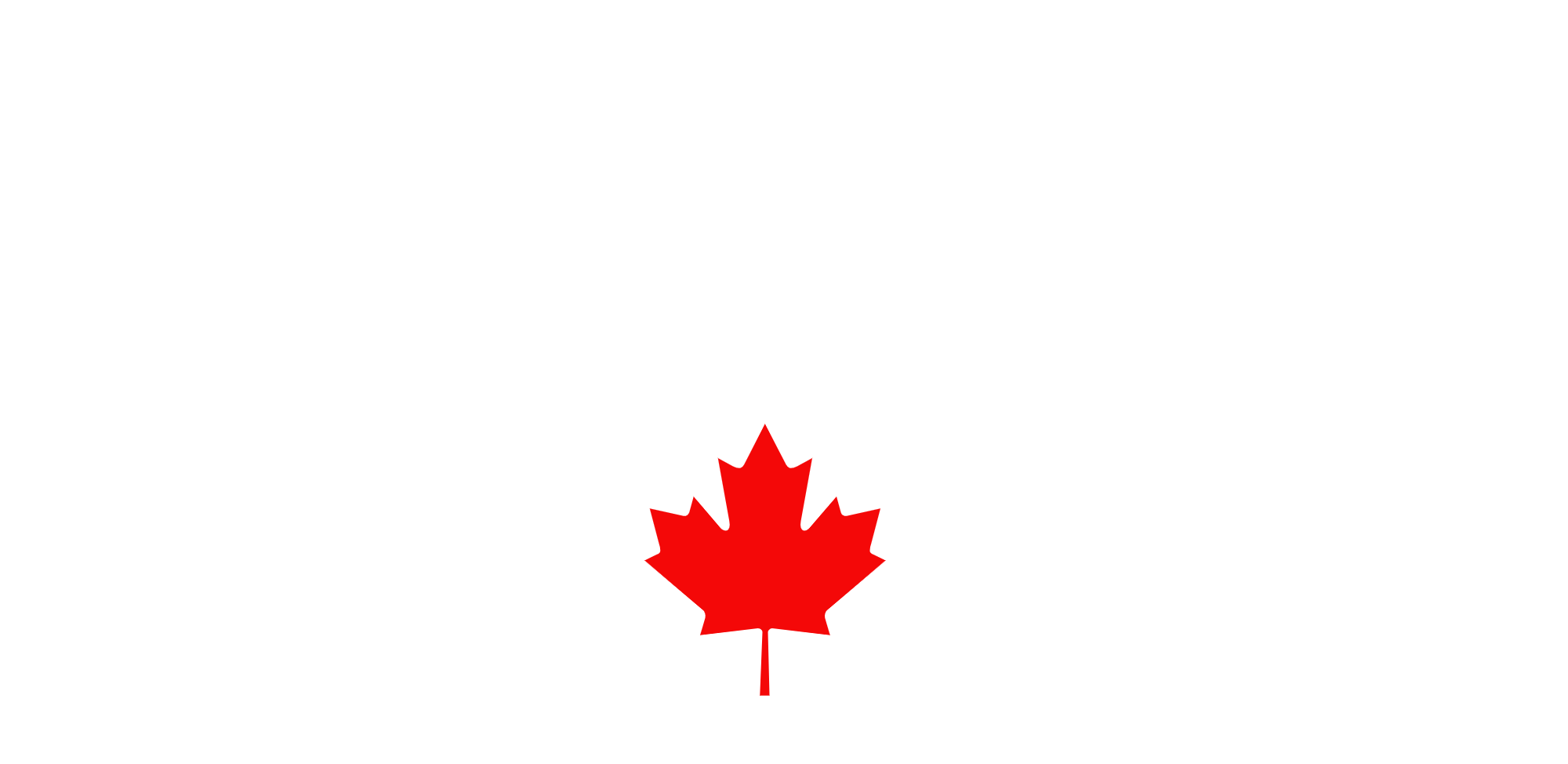 THE PAINT CO.