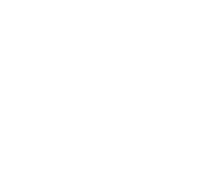 E &amp; P Secure Dog Walking Field