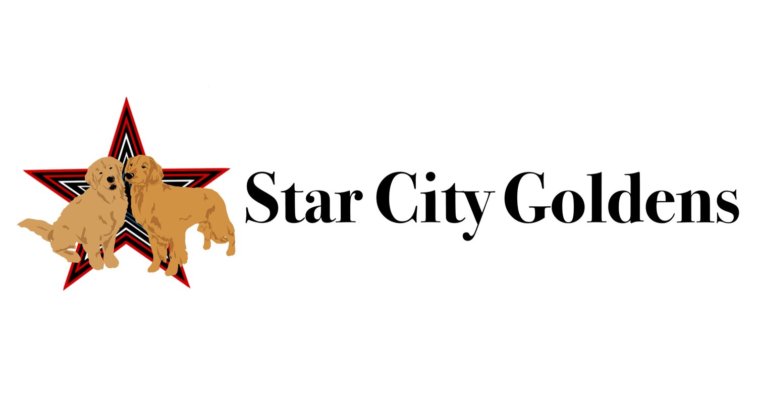 Star City Goldens
