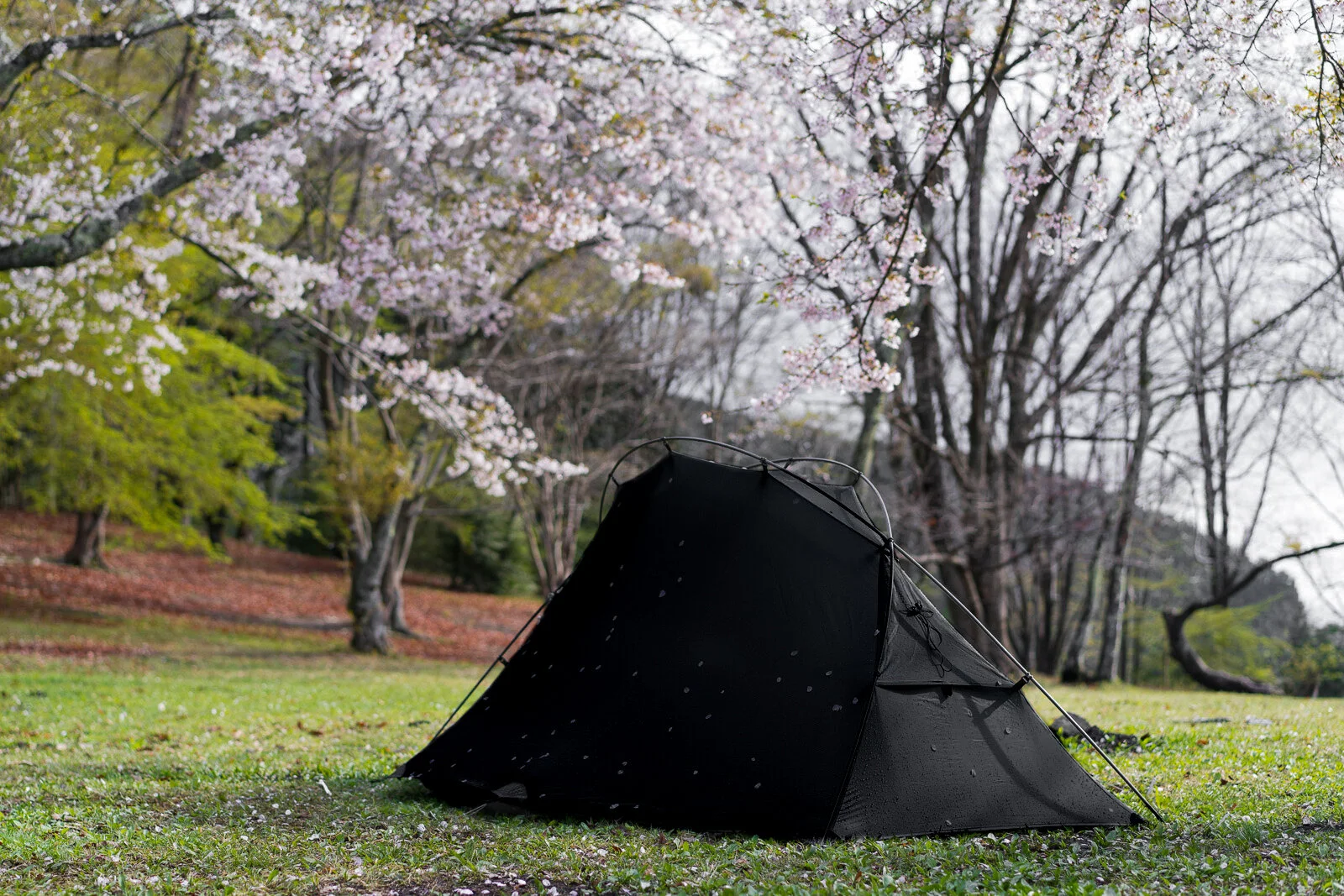 HAKDIM x Pre Tents Lightrock 3 seasons 1P Tent — HAKDIM