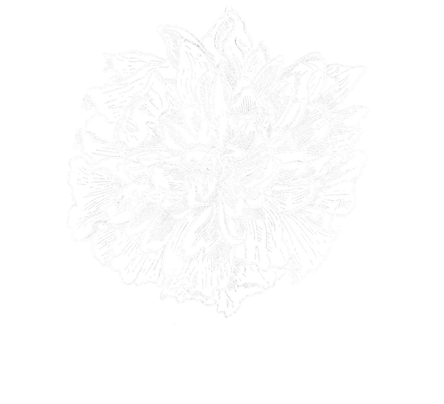 Merigold Independent