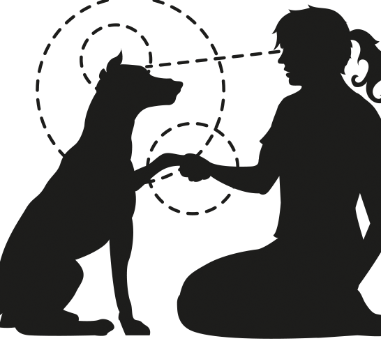 Understanding Dogs Edinburg Behaviourist &amp; Puppy Trainer