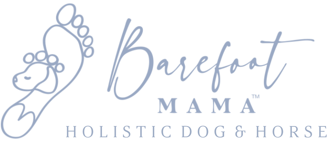 Barefoot Mama Holistic Dog and Horse - Holistic Horse & Dog Care in Wellington, FL | Bodywork, Nutrition, Reiki & Animal Communication