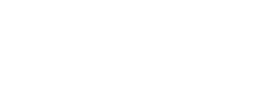 State Line Skate Design