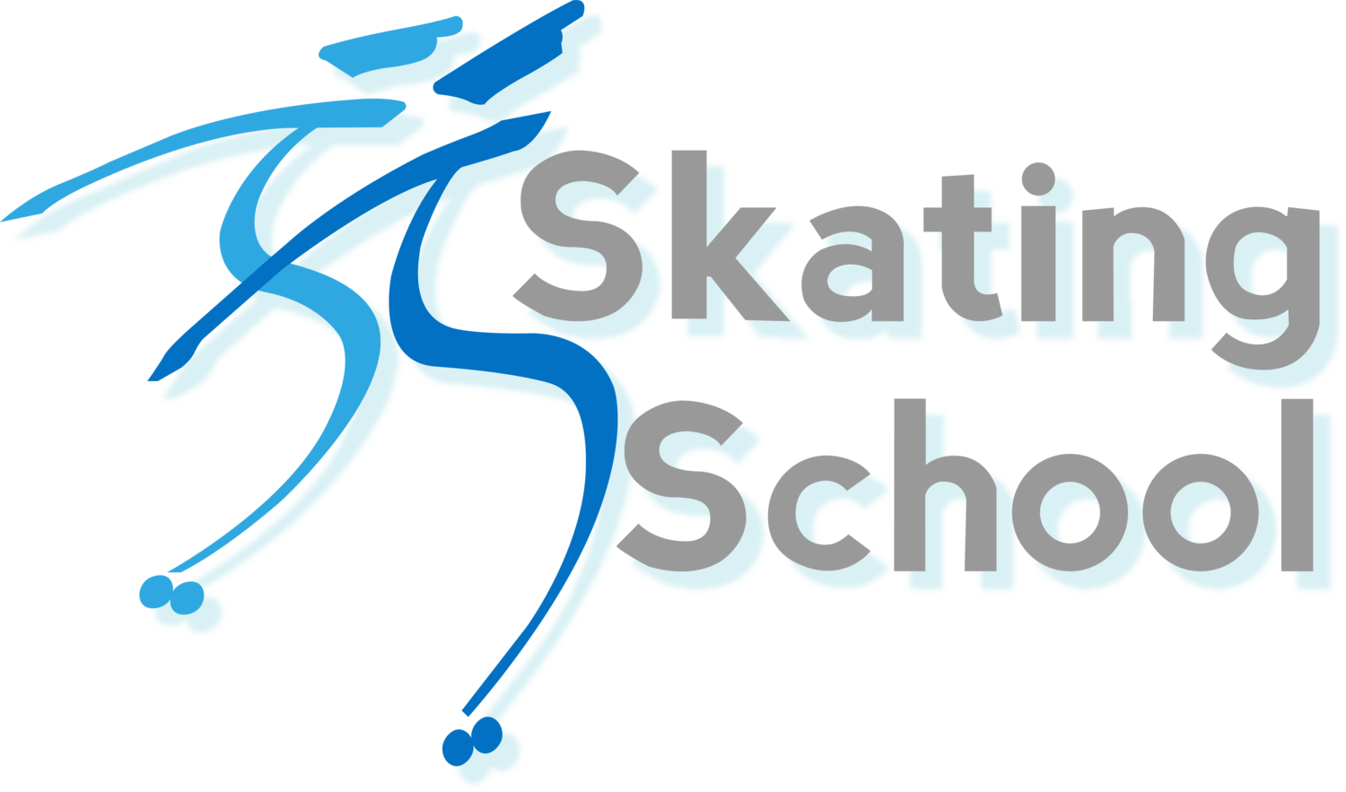 Skating School