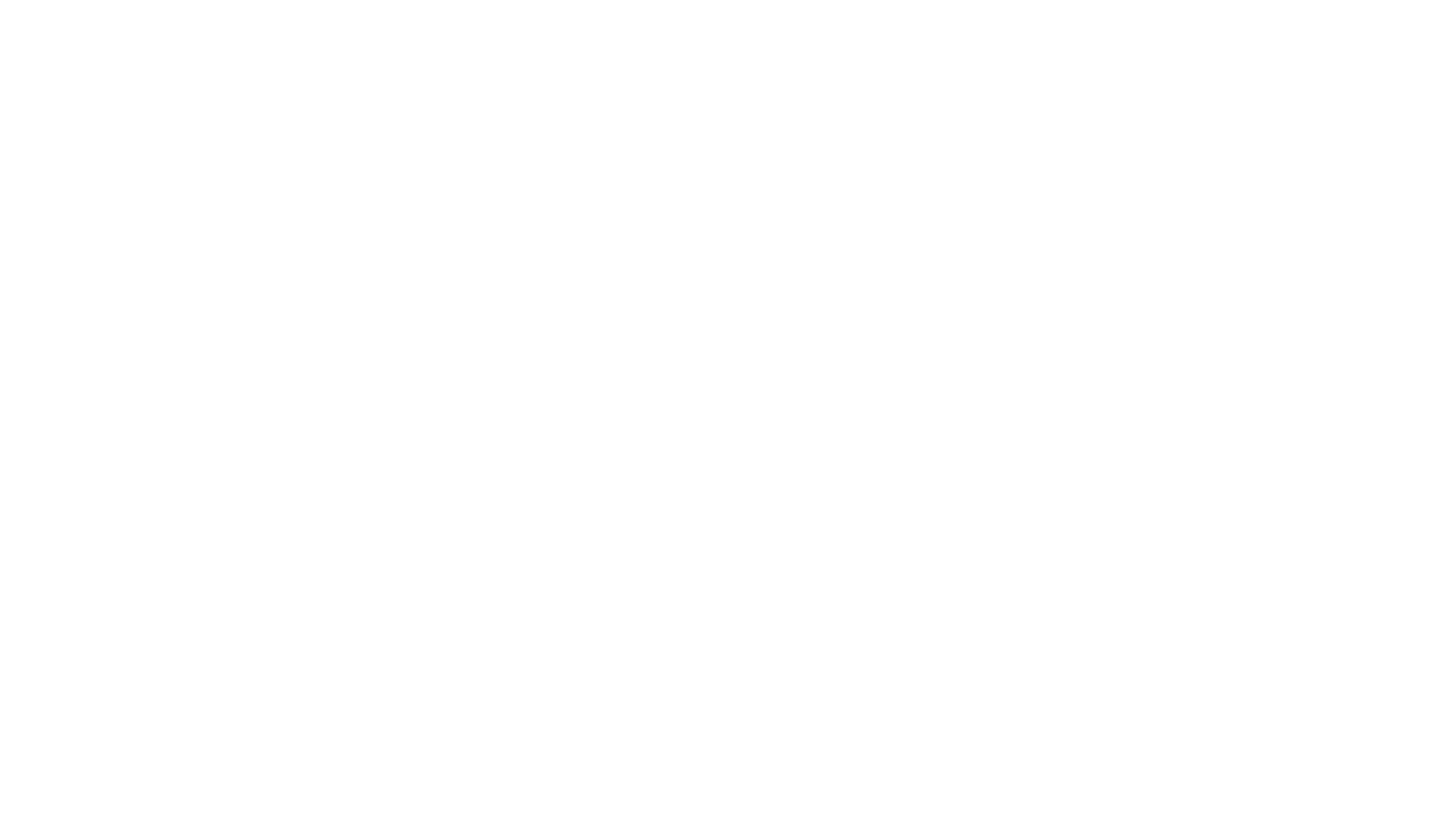 Altair Team