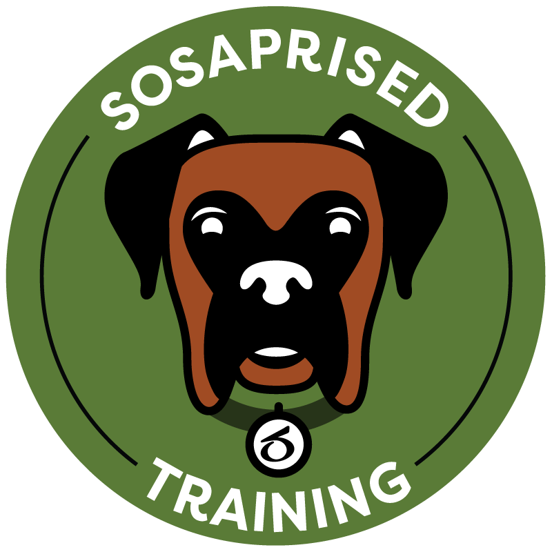 Sosaprised Training