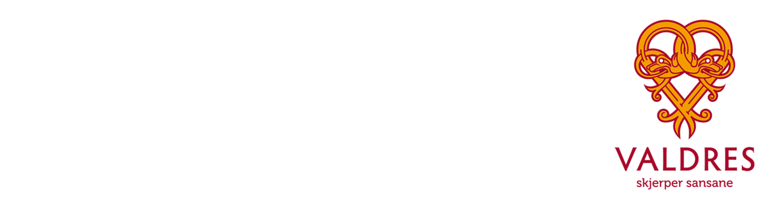 Fisking i Valdres - hjemmeside