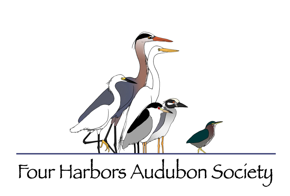 4HAS - Four Harbors Audubon Society