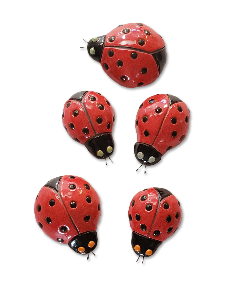 Lady Bugs — Mellow Mud Pottery