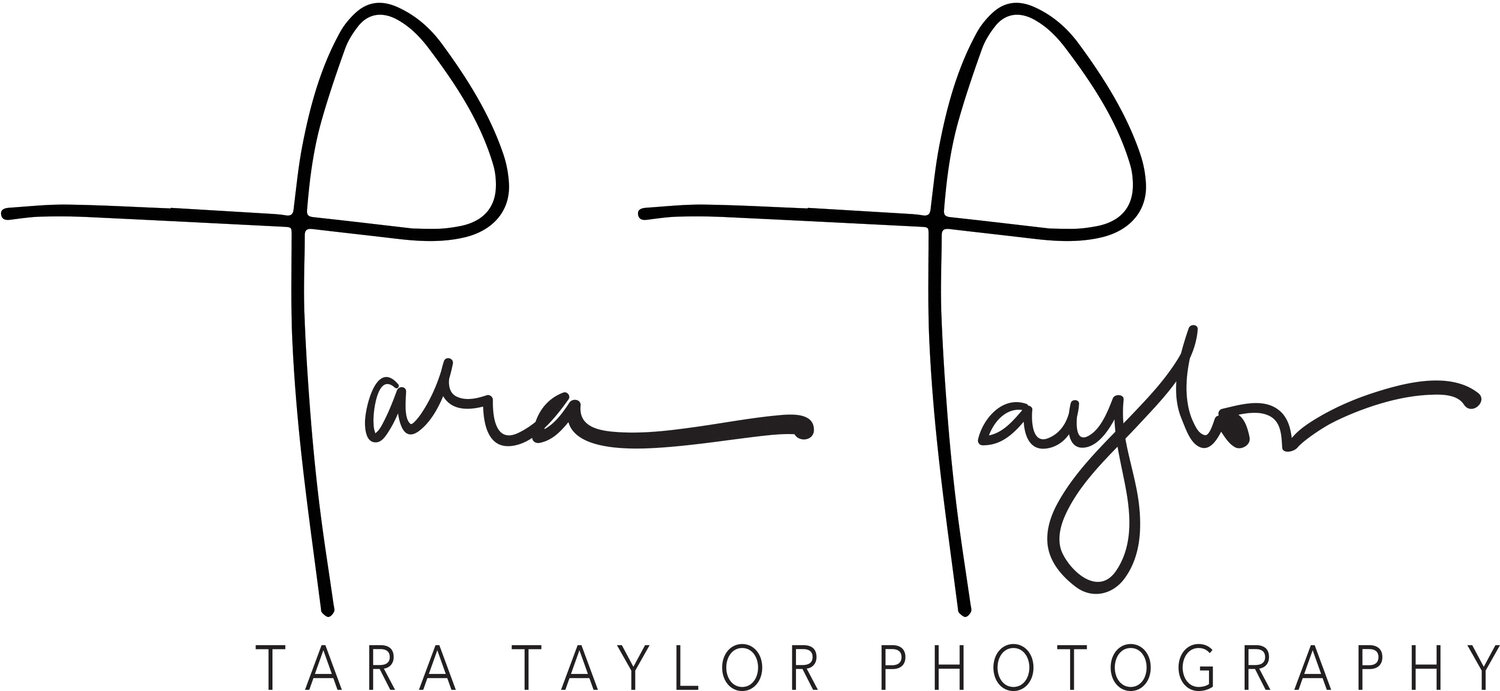 Tara Taylor Photography
