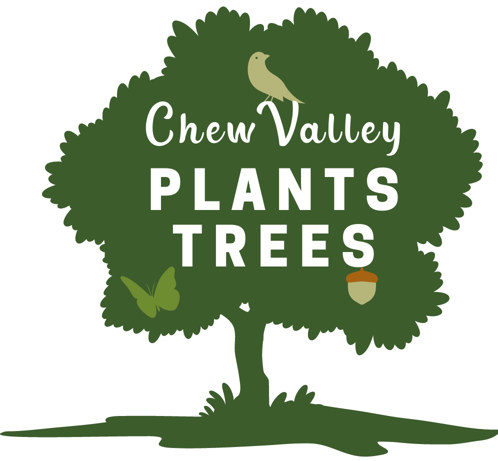 Chew Valley Plants Trees