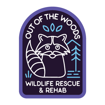 Out of the Woods Wildlife Rescue &amp; Rehab
