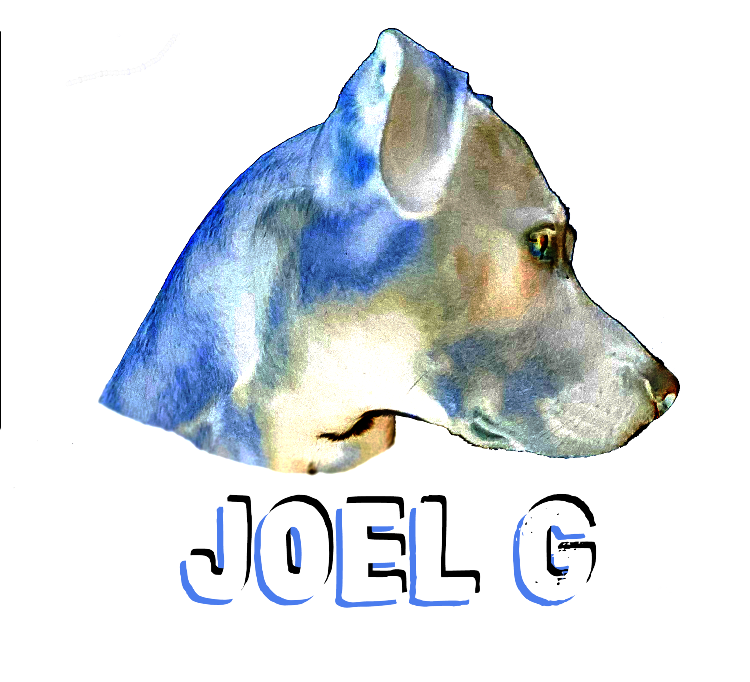 Joel G.