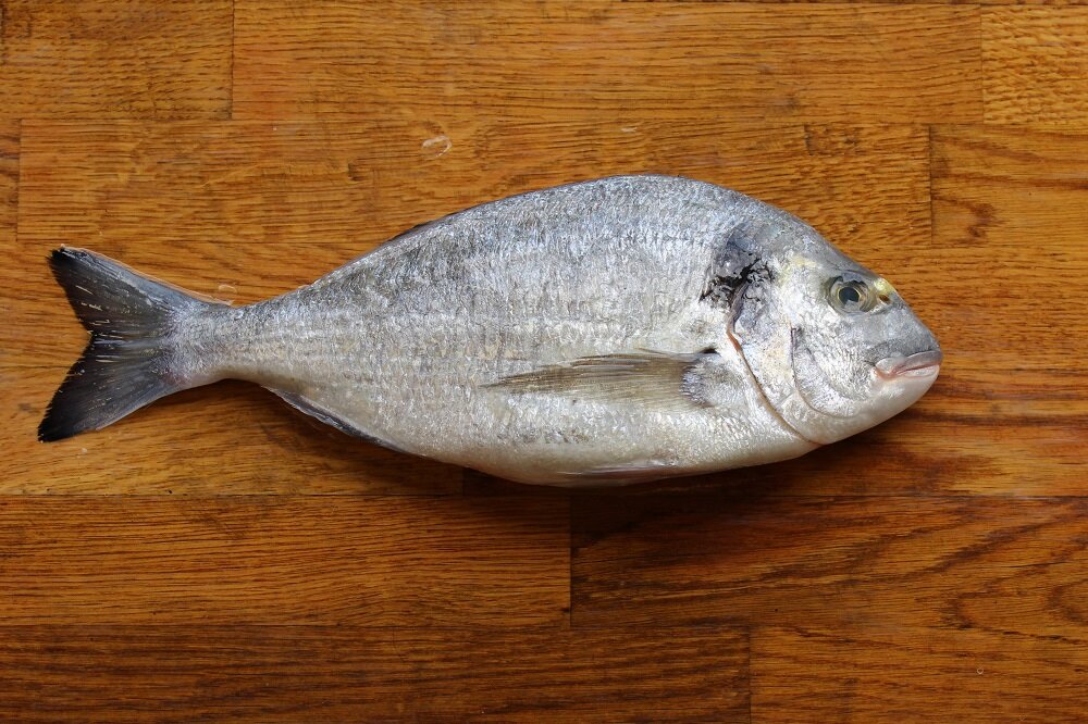 Sea Bream (farmed) — Trident - Buy Fresh Fish Online